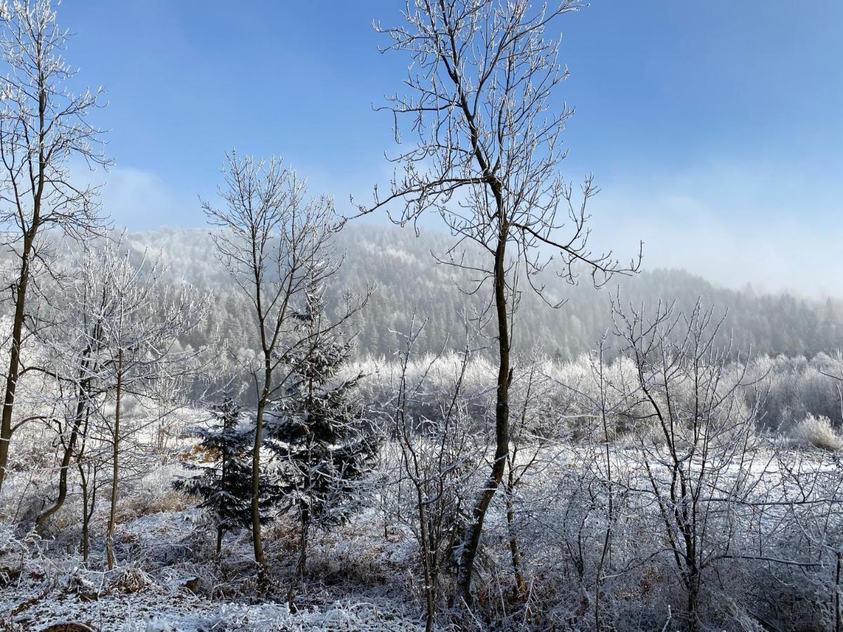 Pokoje Goscinne Pod Jaworem - Obok Pieknego Szlaku Wzdluz Rzeki Bialka, 1Km Do Stokow Kotelnica Bialka Tatrzanska Exterior foto
